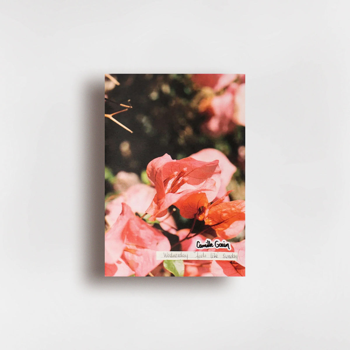 Wednesday feels like Sunday - Camille Gorin