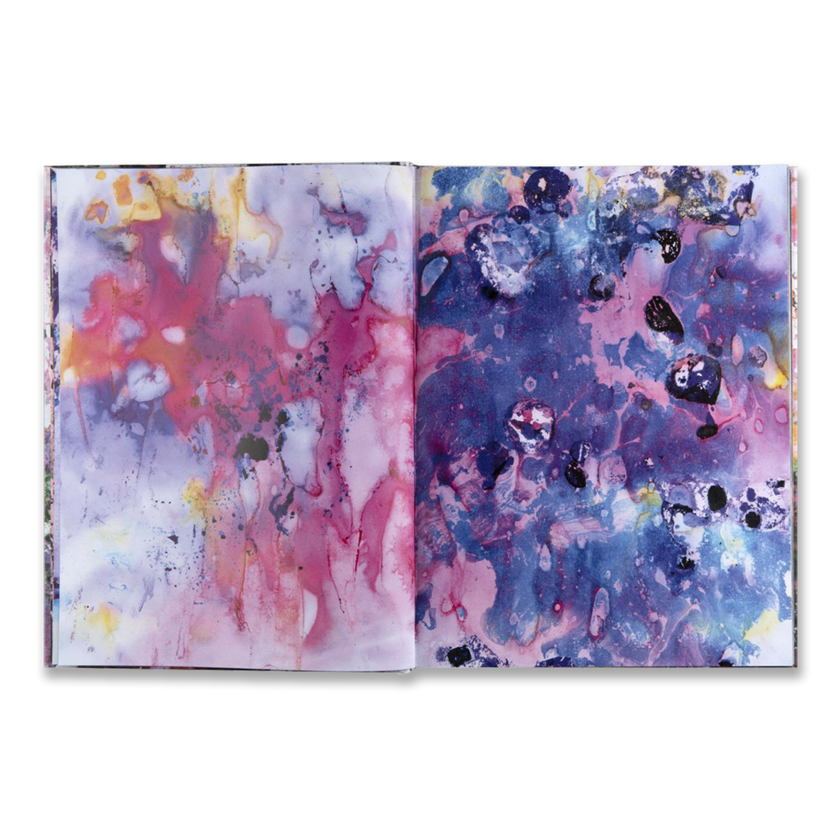 Maya Rochat - Living in a Painting